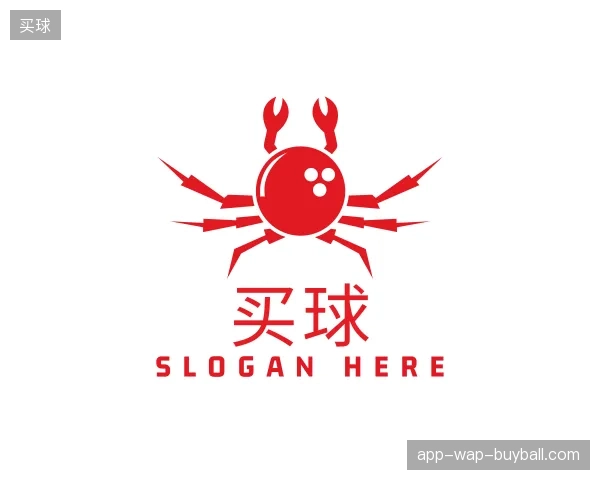 解读买球中国官网